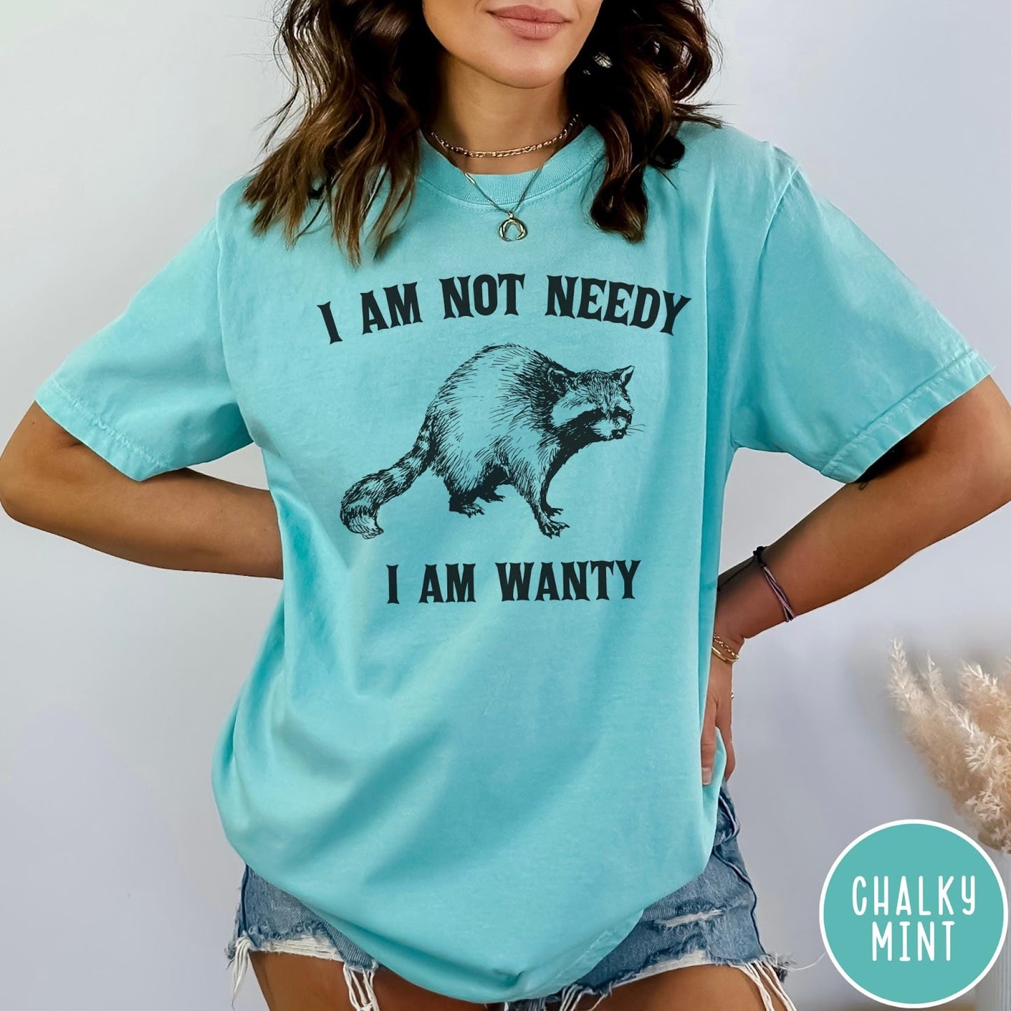 Comfort Colors tee in Chalky Mint featuring vintage style graphic of a raccoon with text I Am Not Needy