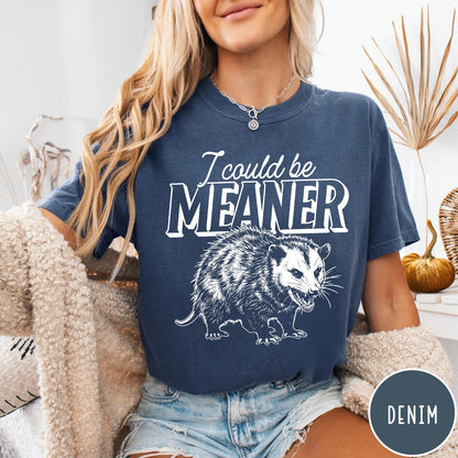 Comfort Colors tee in Denim featuring a graphic design of a hissing opossum with text I could be meaner