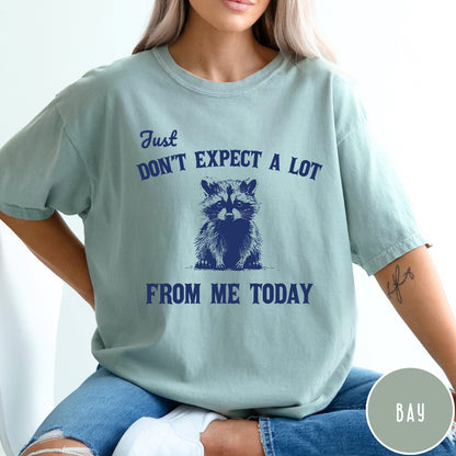 Comfort Colors tee in Bay featuring screen printed raccoon graphic and text Just Don't Expect A Lot