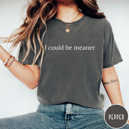 Comfort Colors tee in Pepper featuring sarcastic text graphic that reads I could be meaner in white font