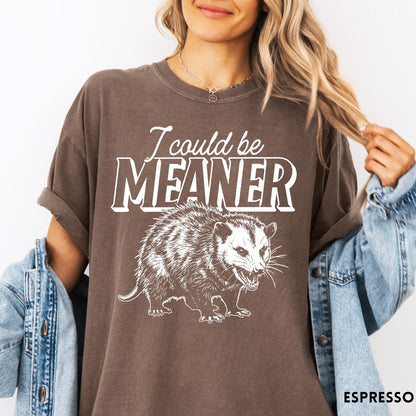 Comfort Colors tee in Espresso featuring a graphic design of a hissing opossum with text I could be meaner