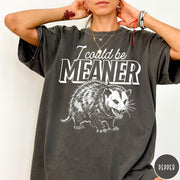 Comfort Colors tee in Pepper featuring screen printed opossum graphic with text I could be meaner