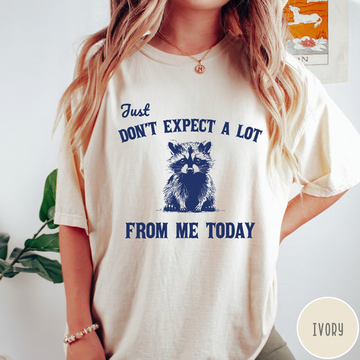 Comfort Colors tee in Ivory featuring screen printed raccoon graphic and text Just Don't Expect A Lot