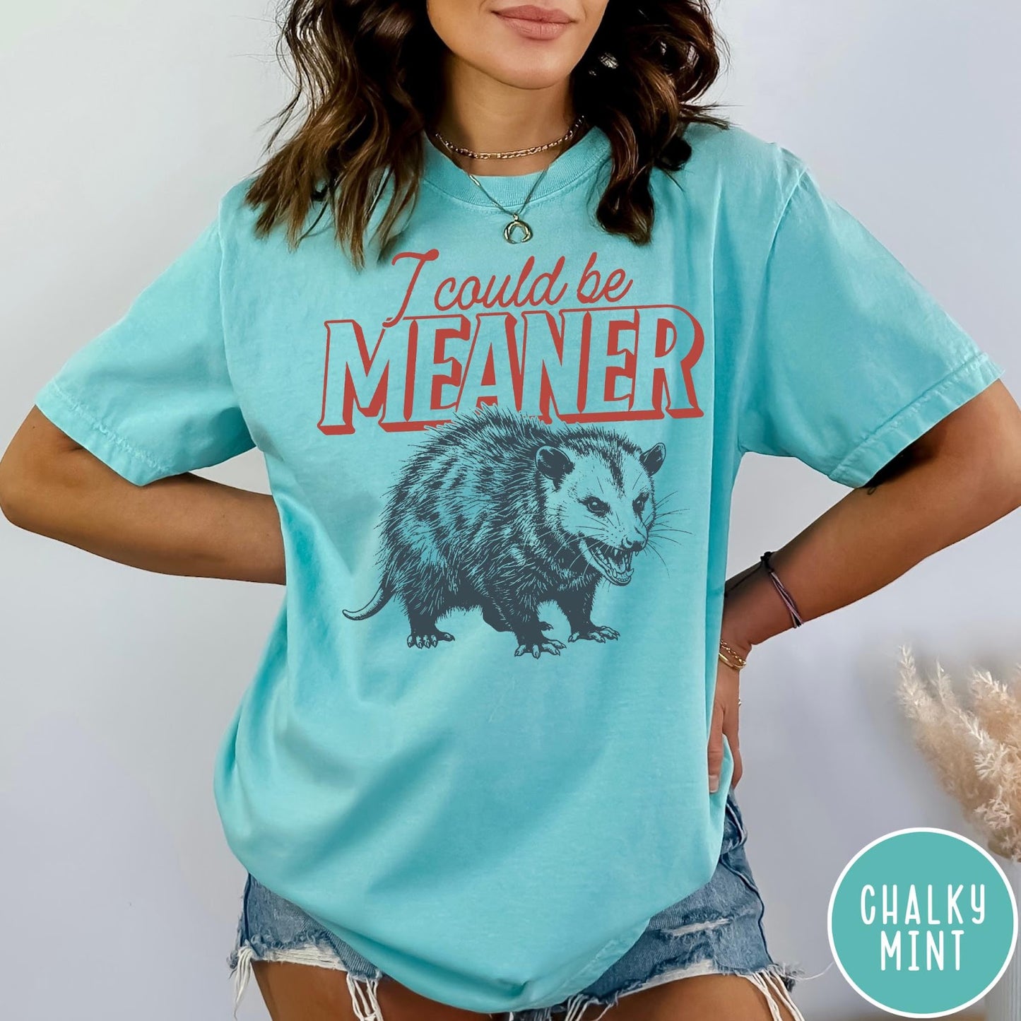 Comfort Colors tee in Chalky Mint featuring screen printed opossum graphic with text I could be meaner
