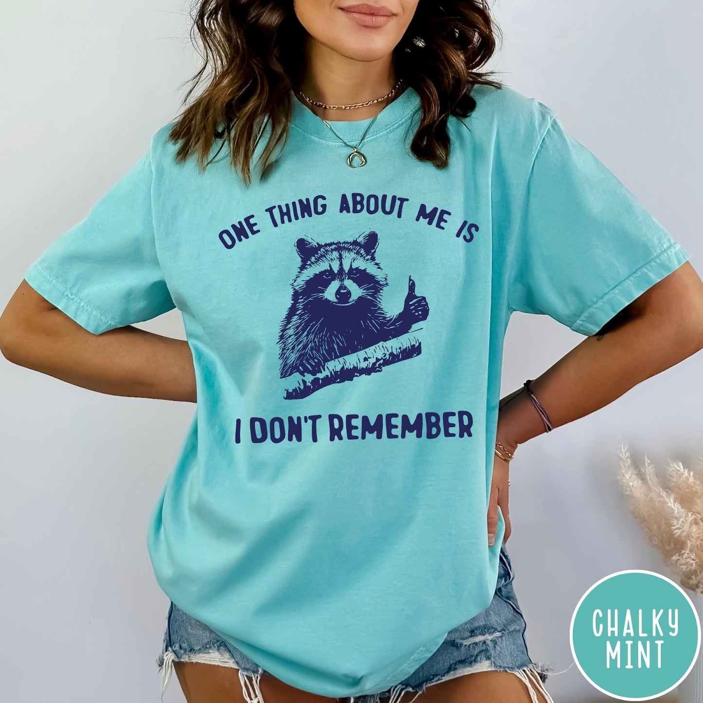 Comfort Colors tee in Chalky Mint featuring screen print style graphic of a raccoon giving a thumbs up