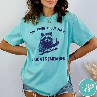 Comfort Colors tee in Chalky Mint featuring screen print style graphic of a raccoon giving a thumbs up