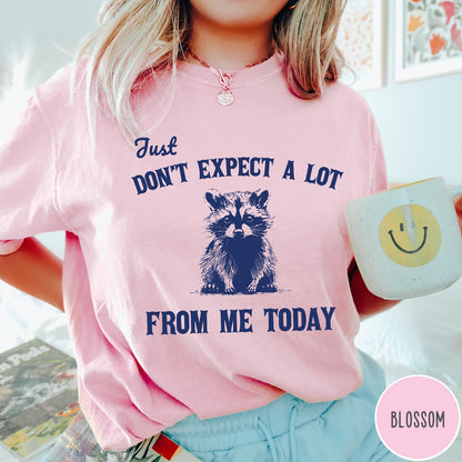 Comfort Colors tee in Blossom featuring screen printed raccoon graphic and text Just Don't Expect A Lot