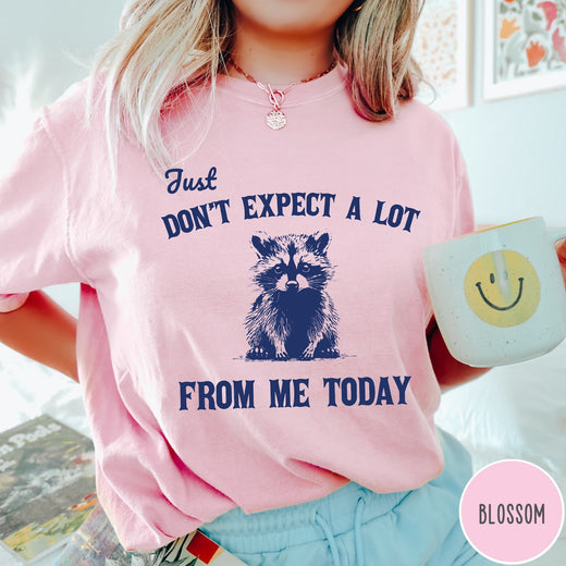 Comfort Colors tee in Blossom featuring screen printed raccoon graphic and text Just Don't Expect A Lot