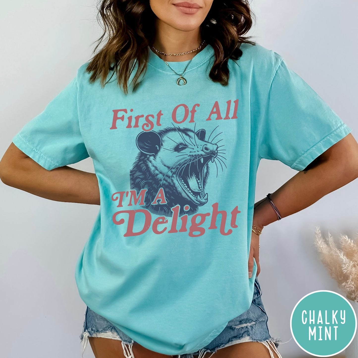 Comfort Colors tee in Chalky Mint featuring illustrative opossum graphic with text First Of All I'm A Delight