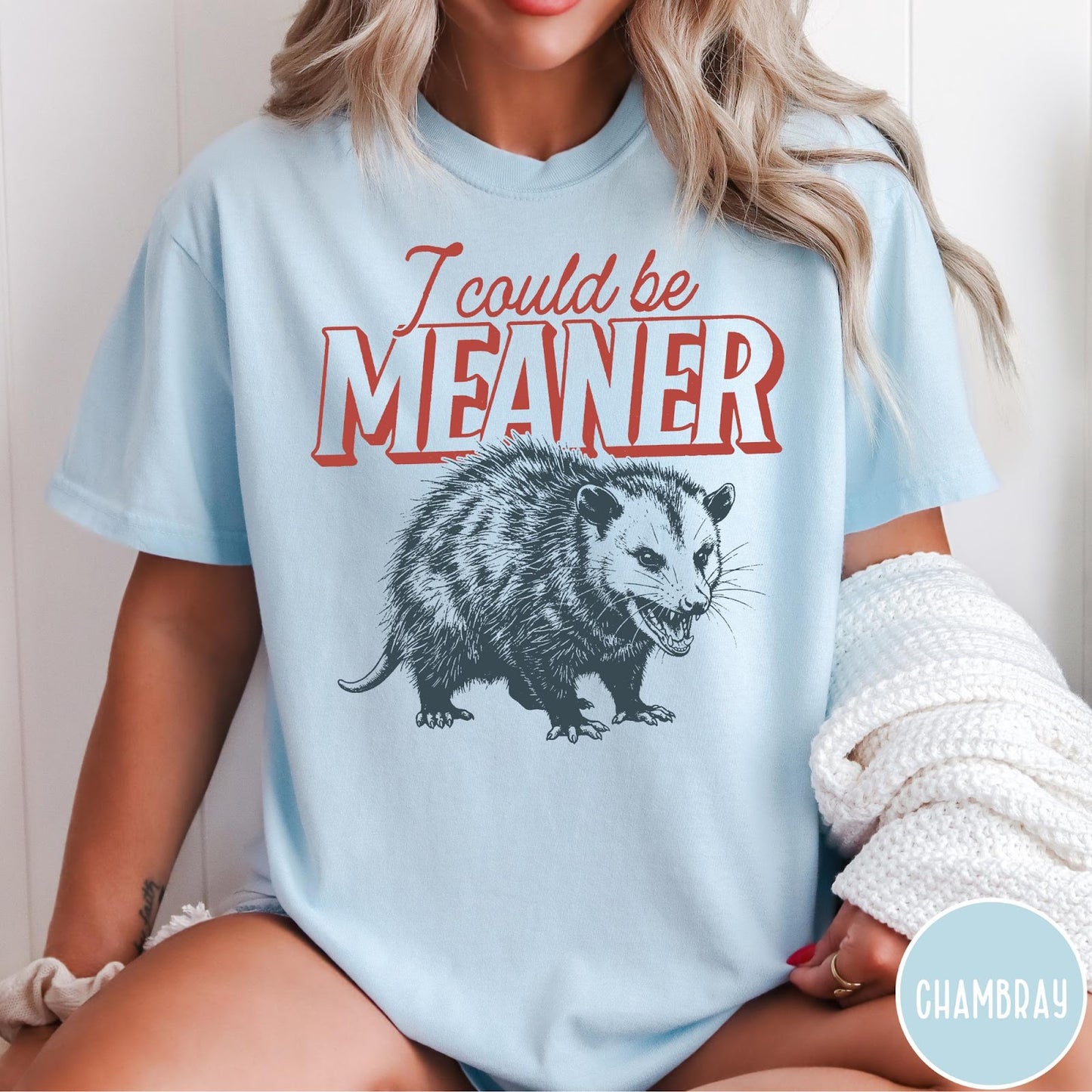 Comfort Colors tee in Chambray featuring screen printed opossum graphic with text I could be meaner