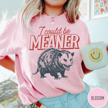 Comfort Colors tee in Blossom featuring screen printed opossum graphic with text I could be meaner