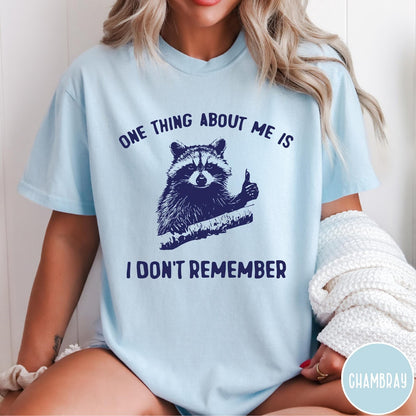 Comfort Colors tee in Chambray featuring screen print style graphic of a raccoon giving a thumbs up