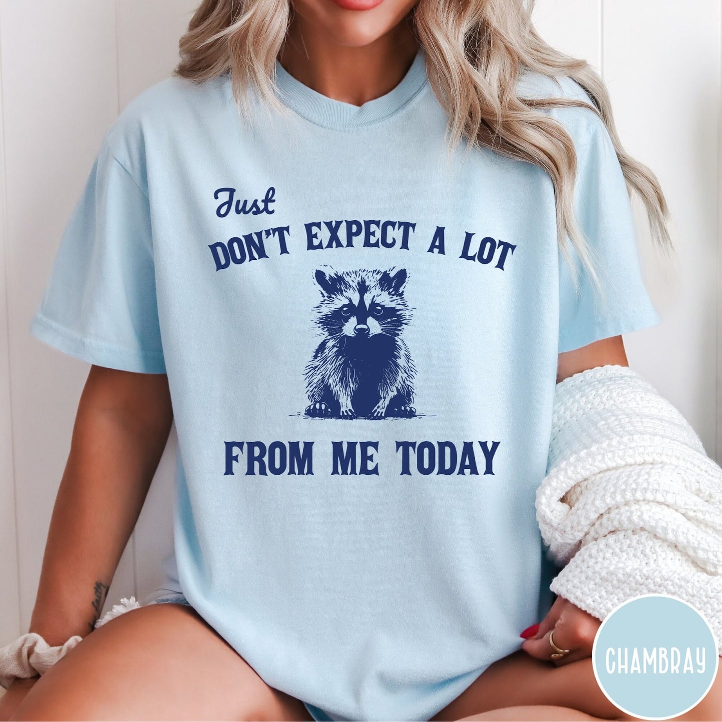 Comfort Colors tee in Chambray featuring screen printed raccoon graphic and text Just Don't Expect A Lot