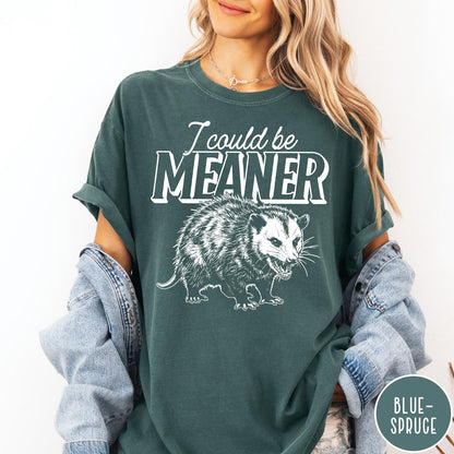 Comfort Colors tee in Blue Spruce featuring a graphic design of a hissing opossum with text I could be meaner