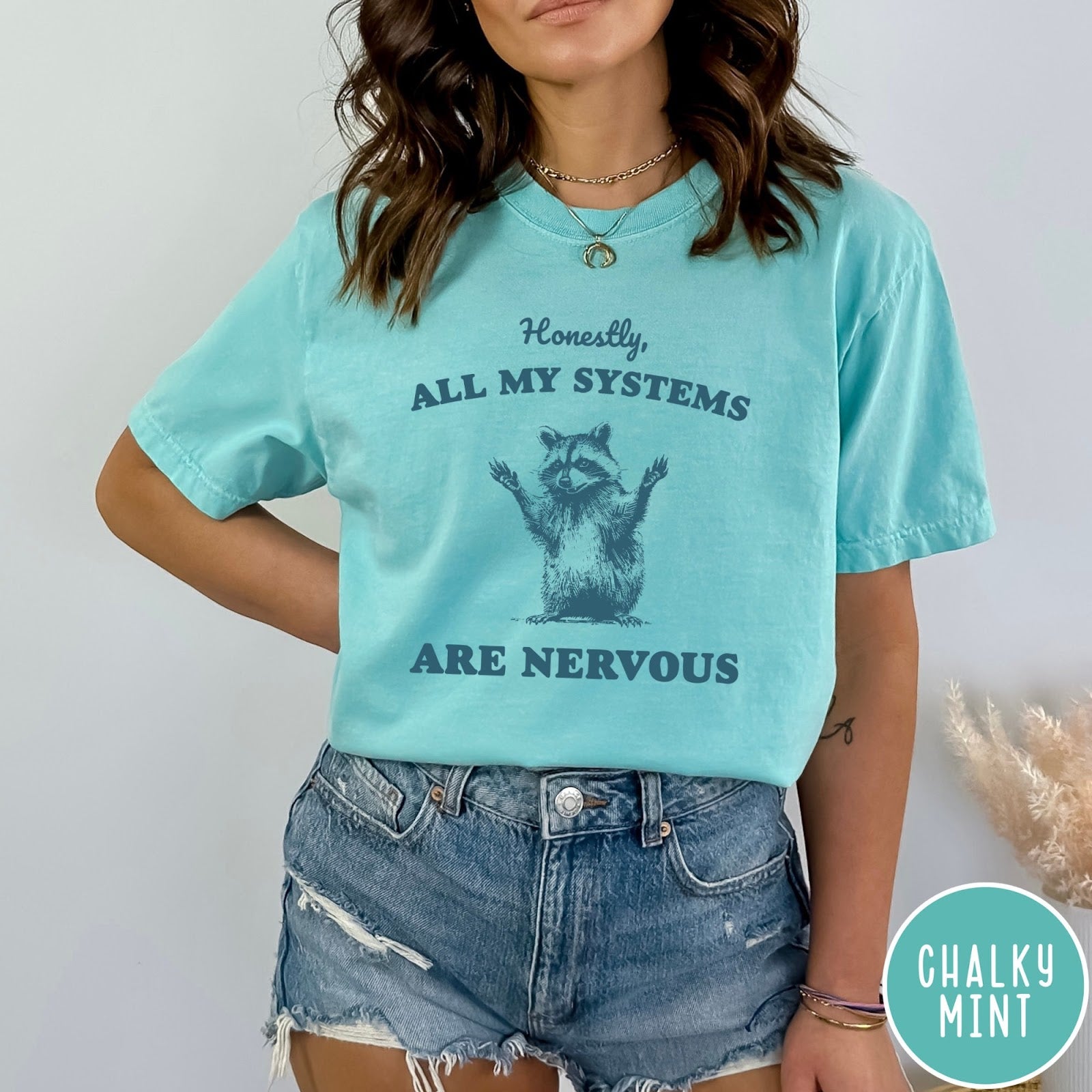 Comfort Colors tee in Chalky Mint featuring graphic illustration of a nervous raccoon with arms raised in air